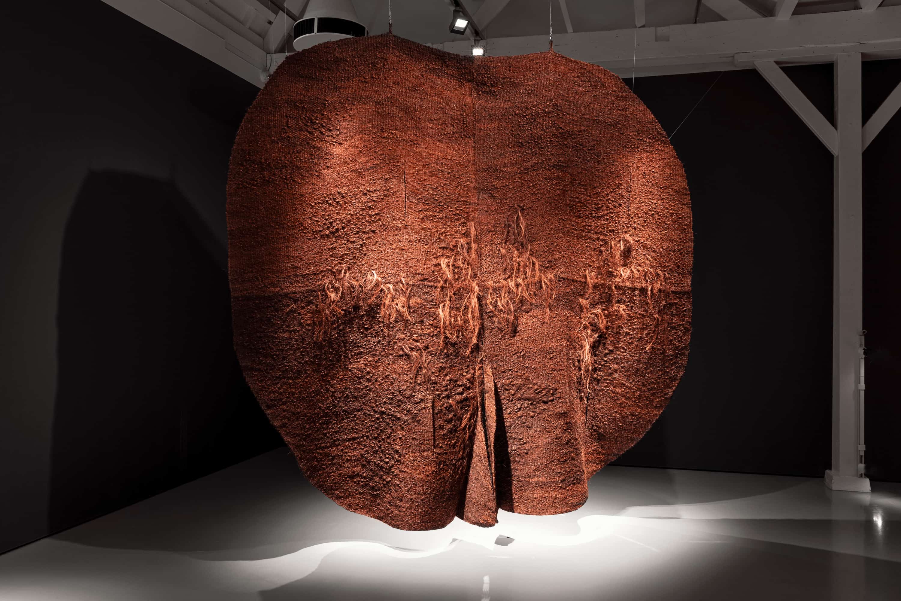 Image Magdalena Abakanowicz kunstwerk